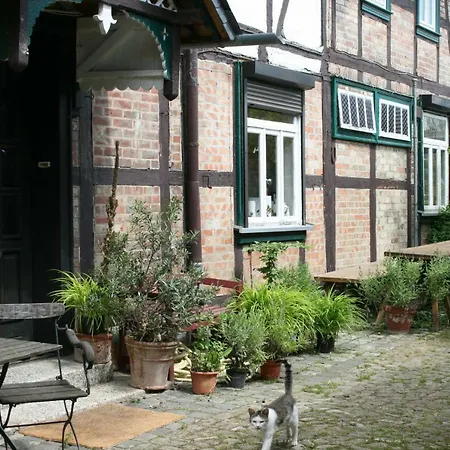 Café Brennnessel Veltheim