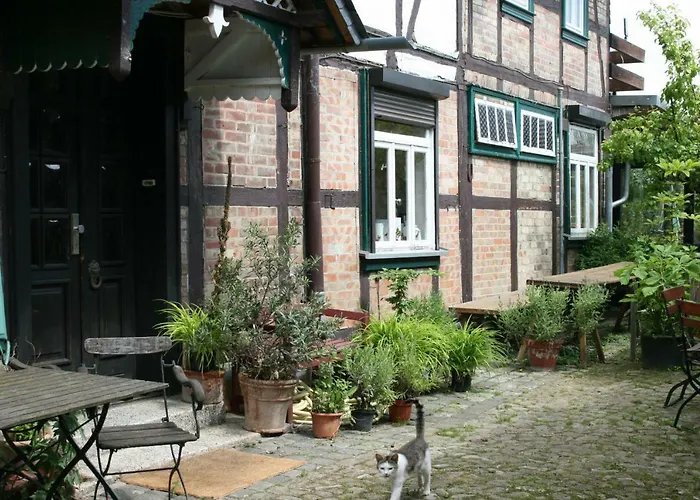 Cafe Brennnessel Veltheim